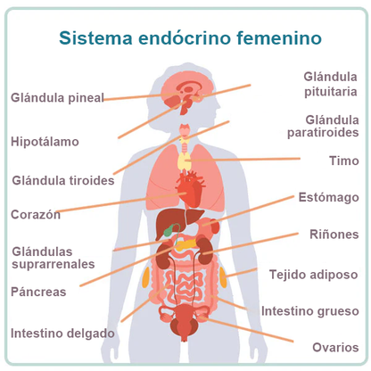 𝐂𝐯𝐫𝐞𝐨𝐳® Cápsulas Vaginales Naturales Reparadoras con Veneno de Abeja y NMN👩‍❤️‍👩[𝐅𝐨𝐫 𝐚𝐥𝐥 𝐯𝐚𝐠𝐢𝐧𝐚𝐥 𝐚𝐧𝐝 𝐡𝐨𝐫𝐦𝐨𝐧𝐚𝐥 𝐩𝐫𝐨𝐛𝐥𝐞𝐦𝐬]👩‍❤️‍👩