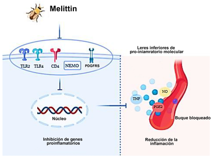 𝐂𝐯𝐫𝐞𝐨𝐳® Cápsulas Vaginales Naturales Reparadoras con Veneno de Abeja y NMN👩‍❤️‍👩[𝐅𝐨𝐫 𝐚𝐥𝐥 𝐯𝐚𝐠𝐢𝐧𝐚𝐥 𝐚𝐧𝐝 𝐡𝐨𝐫𝐦𝐨𝐧𝐚𝐥 𝐩𝐫𝐨𝐛𝐥𝐞𝐦𝐬]👩‍❤️‍👩